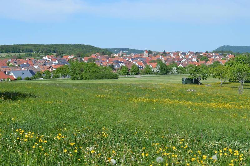 Ferienwohnung Alb-Traum Erkenbrechtsweiler Exterior foto